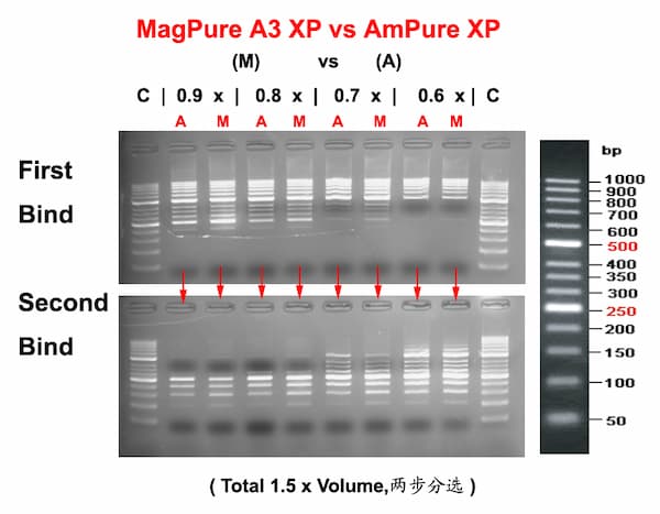 MagPure A3 XP and AMPure XP double size selection comparison at 0.9x, 0.8x, 0.7x and 0.6x first-bind ratios MagPure A3 XP and AMPure XP double size selection comparison at 0.9x, 0.8x, 0.7x and 0.6x first-bind ratios